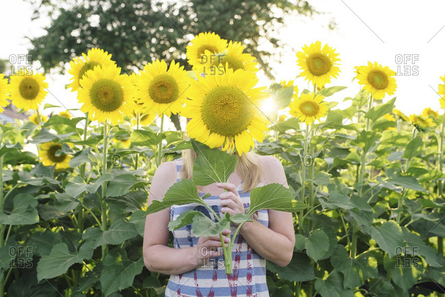 Woman hiding face with sunflower in farm