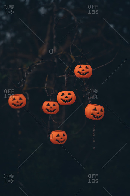 Halloween pumpkin decorations hanging on a tree