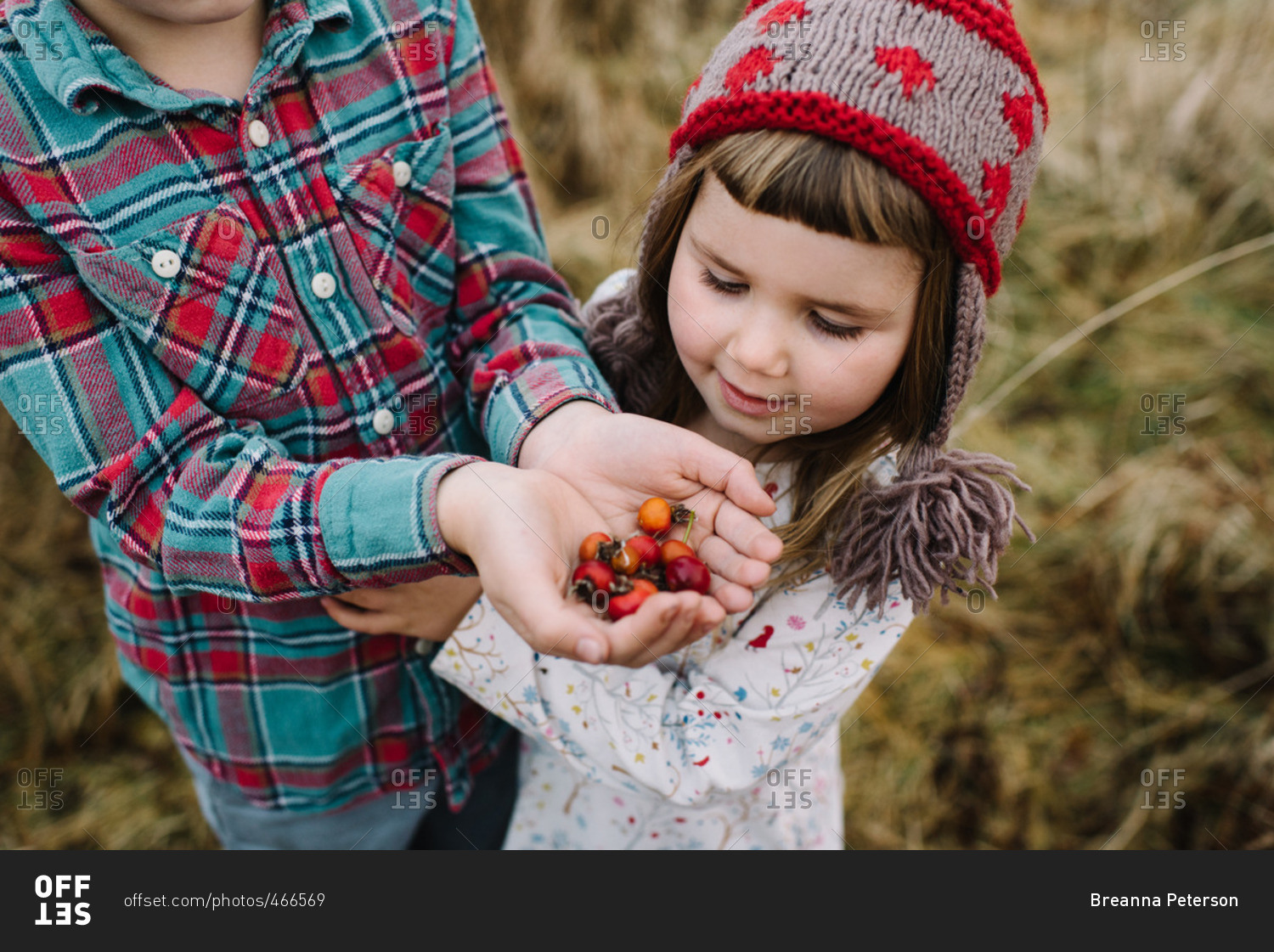 Boy holding wild rose hips with sister