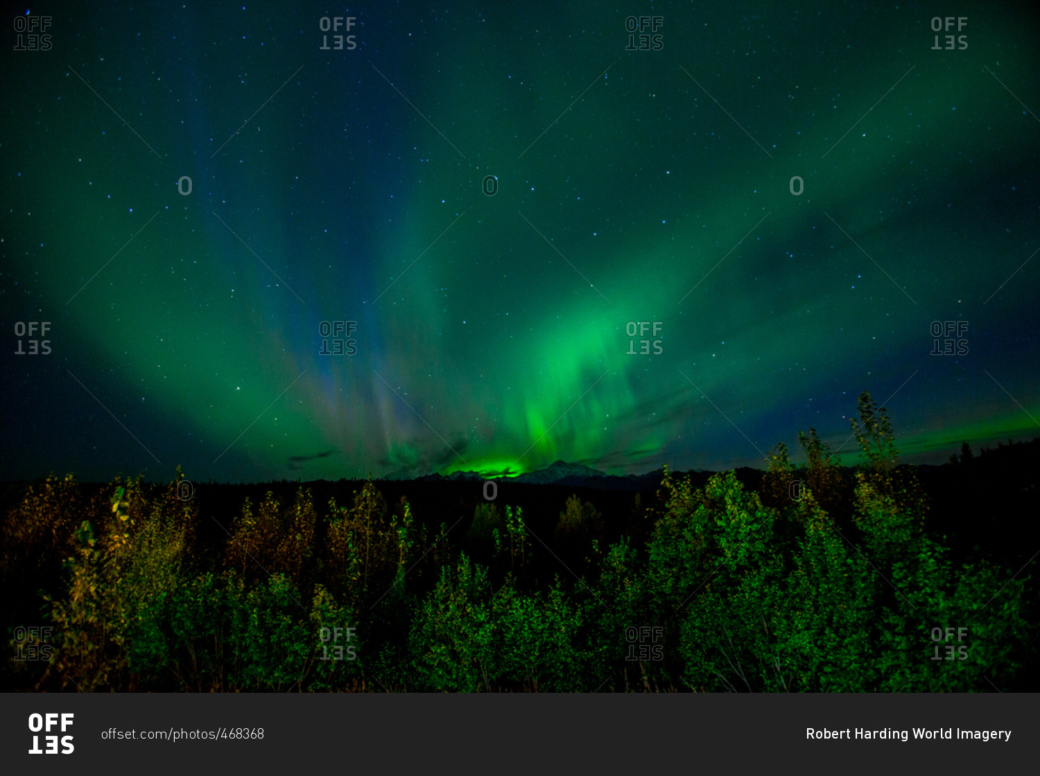 Aurora Borealis (Northern Lights) viewed from Denali National Park, Alaska, United States of America, North America