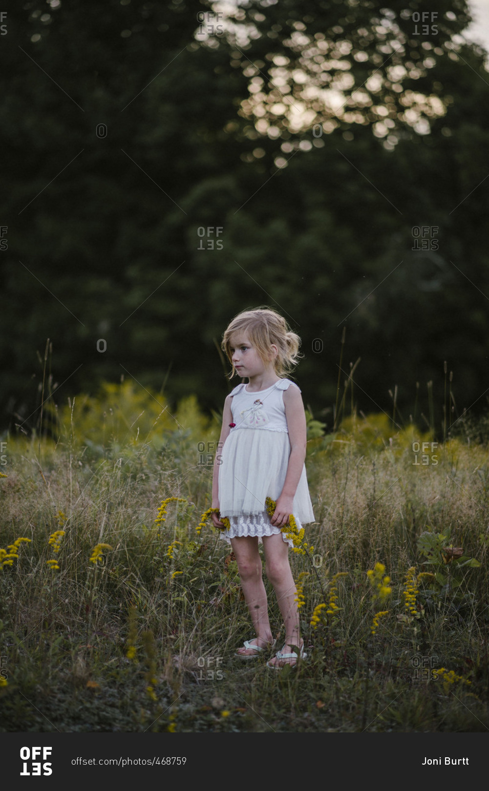 Little girl in a field with yellow flowers