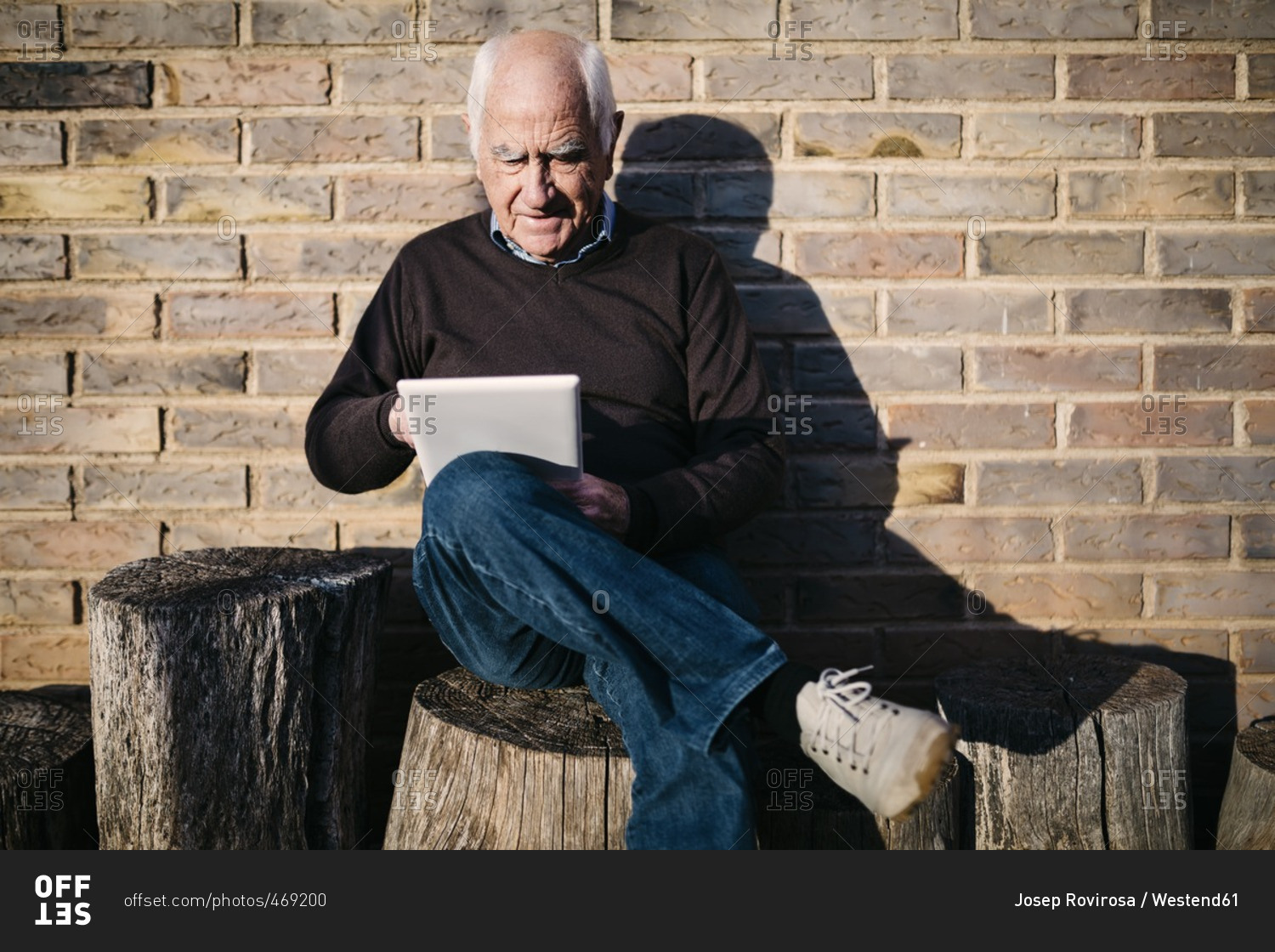 Senior man sitting on tree stump using tablet