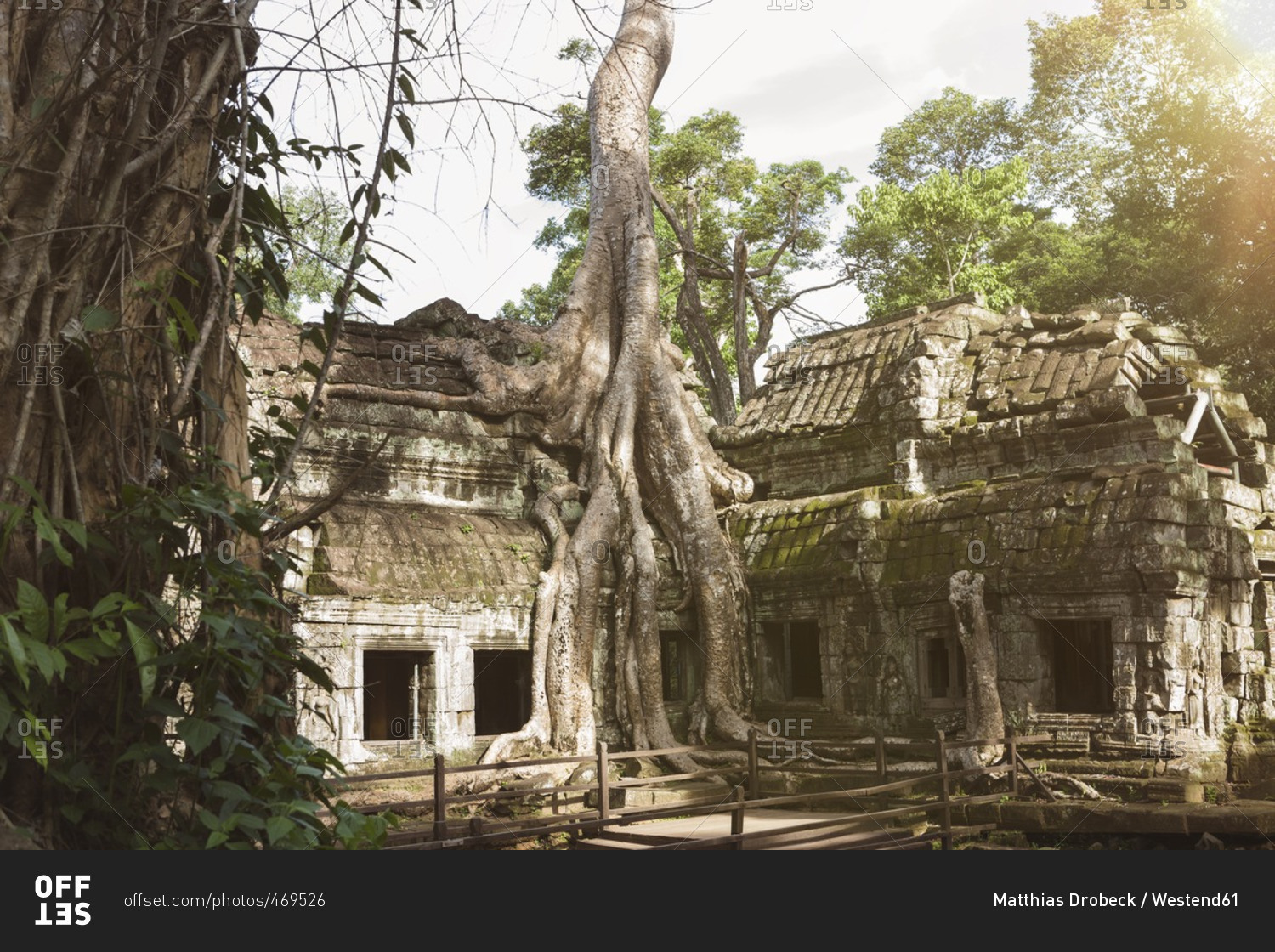 Cambodia- Siem Reap- Angkor- Ta Prohm temple
