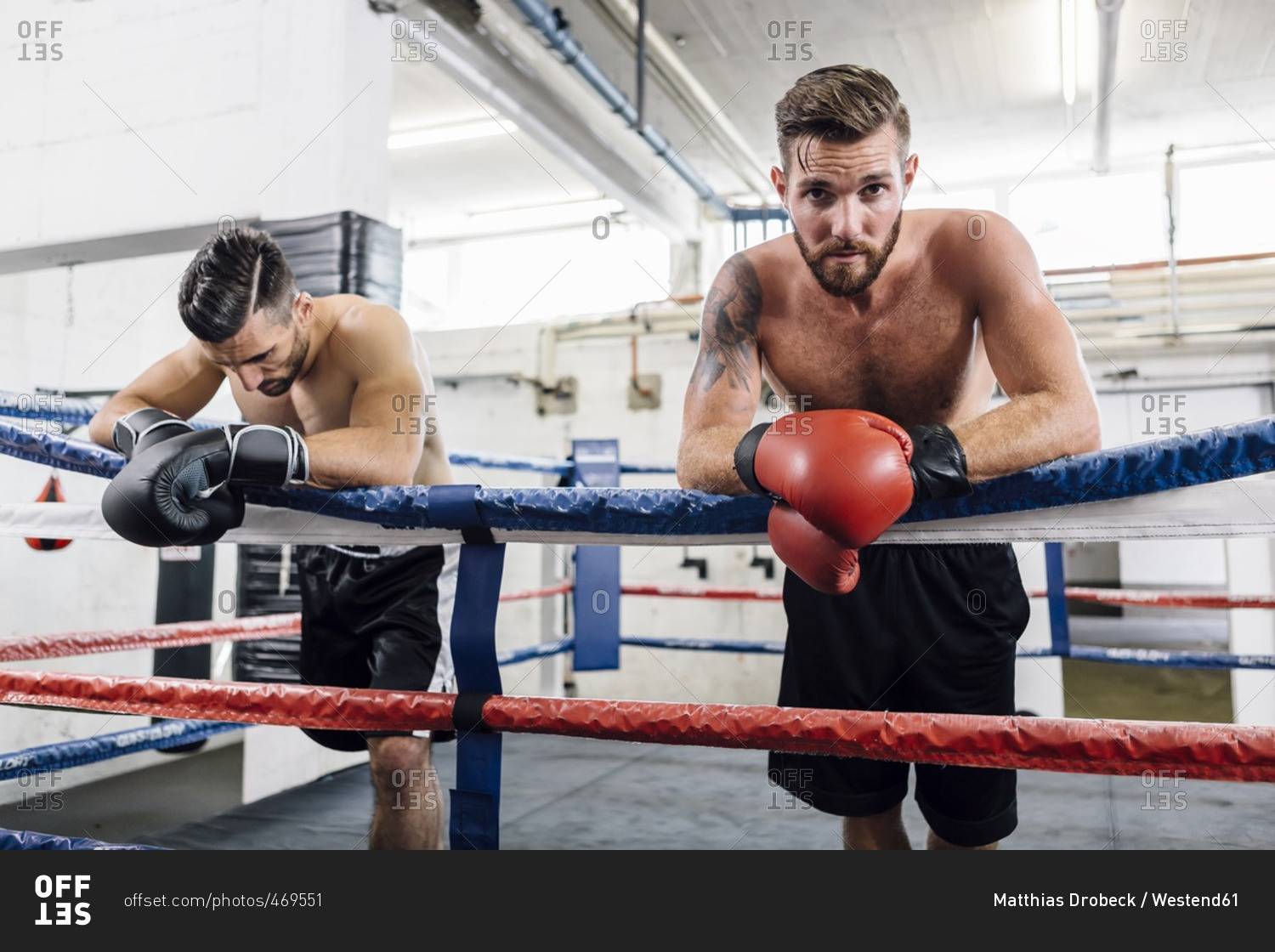 Two Boxers Resting In Boxing Ring Stock Photo - OFFSET