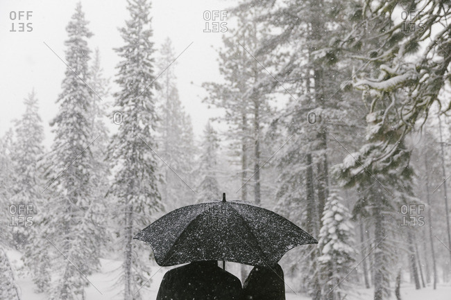 People under umbrella in winter woods