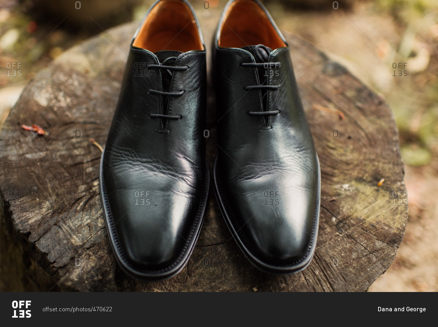Men's pair of black leather dress shoes on tree stump