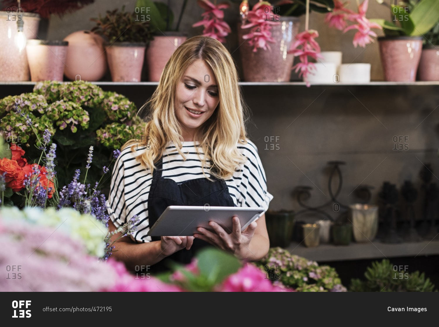 Florist using tablet computer in flower shop