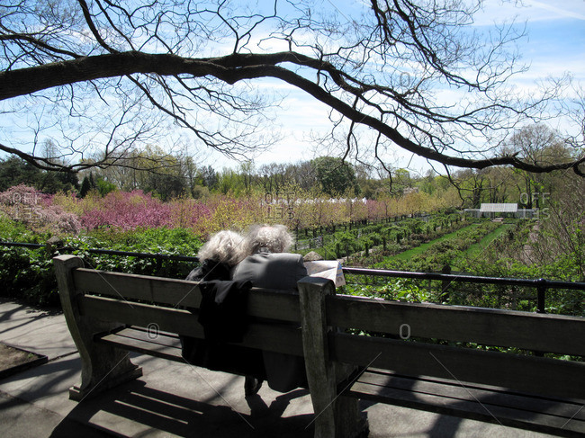 Older couple on bench by Brooklyn botanical gardens