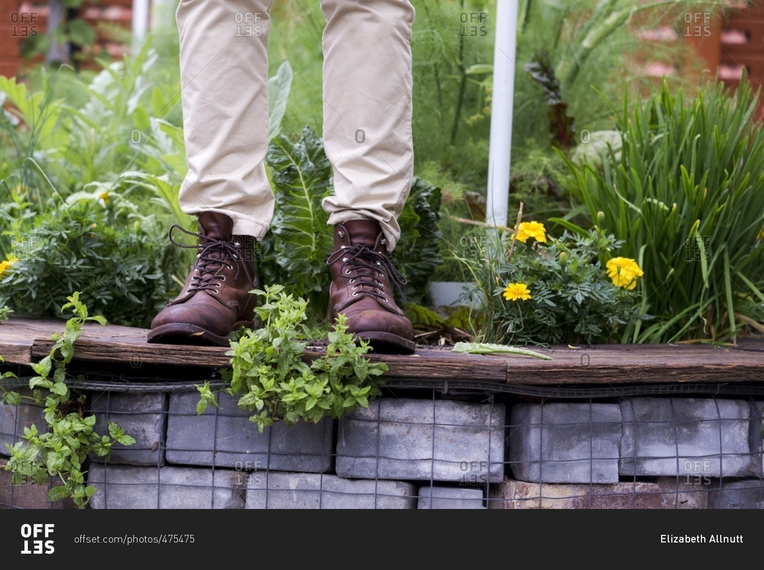 man-in-work-boots-standing-on-wall-of-raised-garden-bed-stock-photo