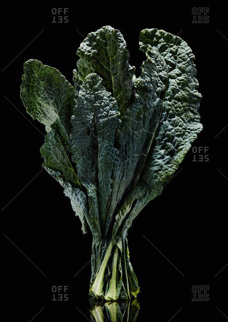 Kale bundle with black background
