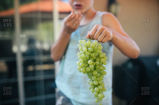 Boy holding green grape bunch