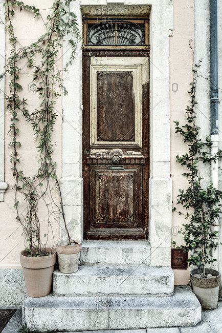 Wooden entry door and steps with climbing plants
