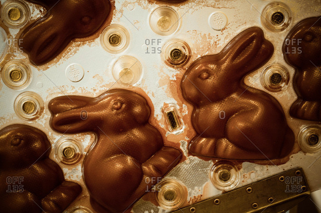 Chocolate rabbits in molds at a chocolate maker