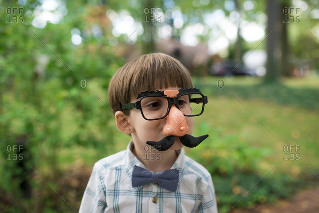 Mustache 2025 glasses mask