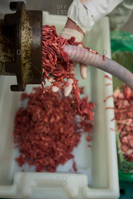 Close-up of fresh minced meat in mincing machine