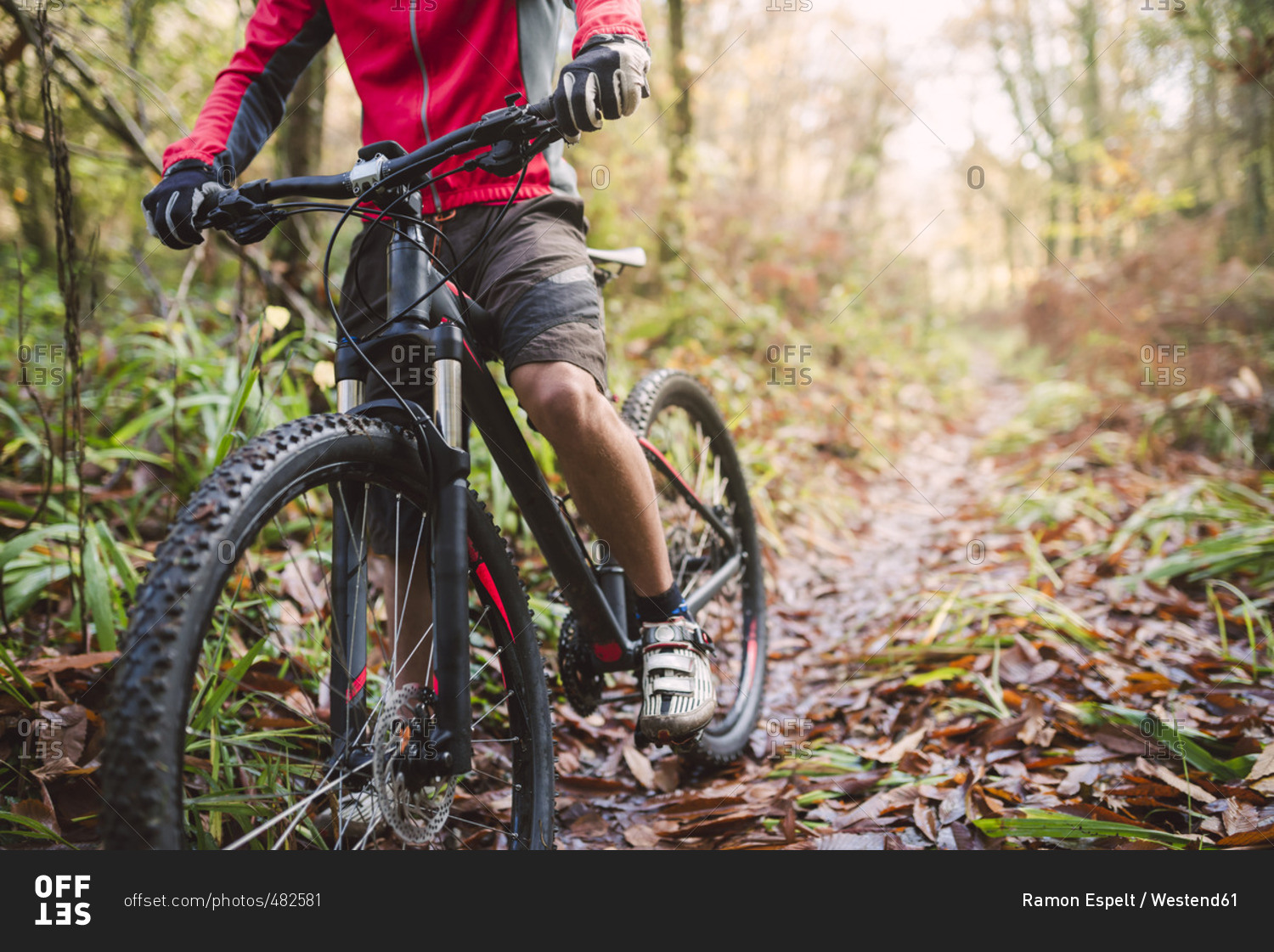 biking in the forest