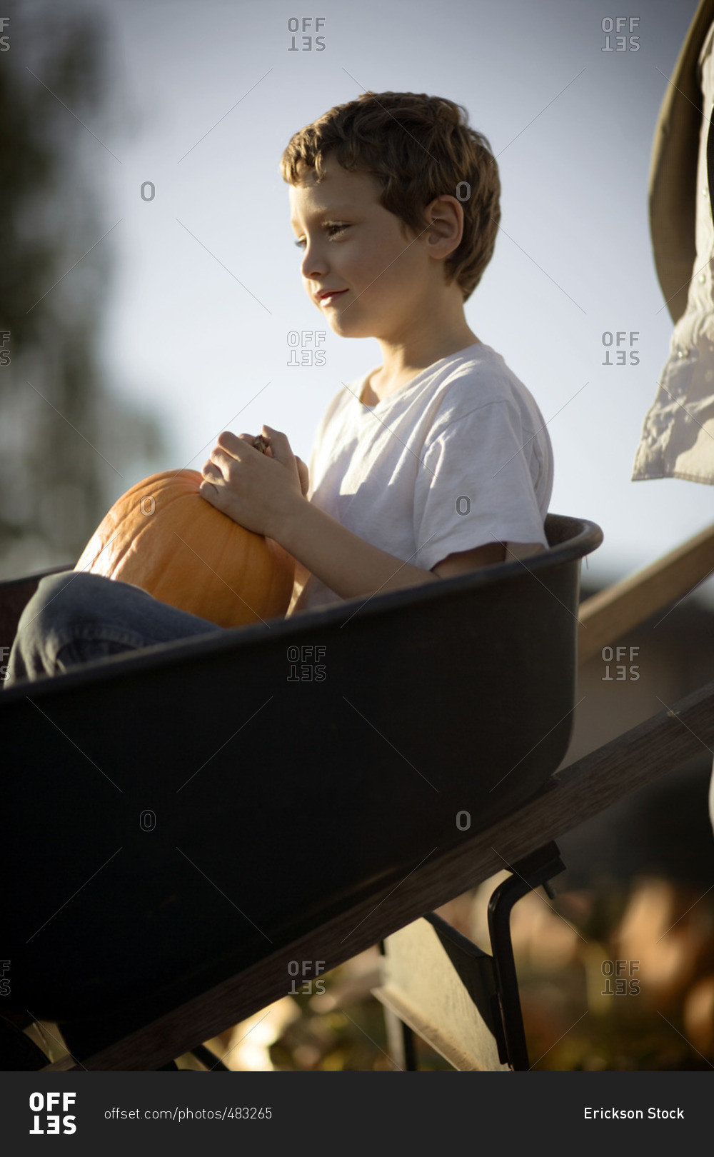Young boy choosing a Halloween pumpkin at the pumpkin patch