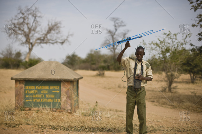 Park ranger using an antenna