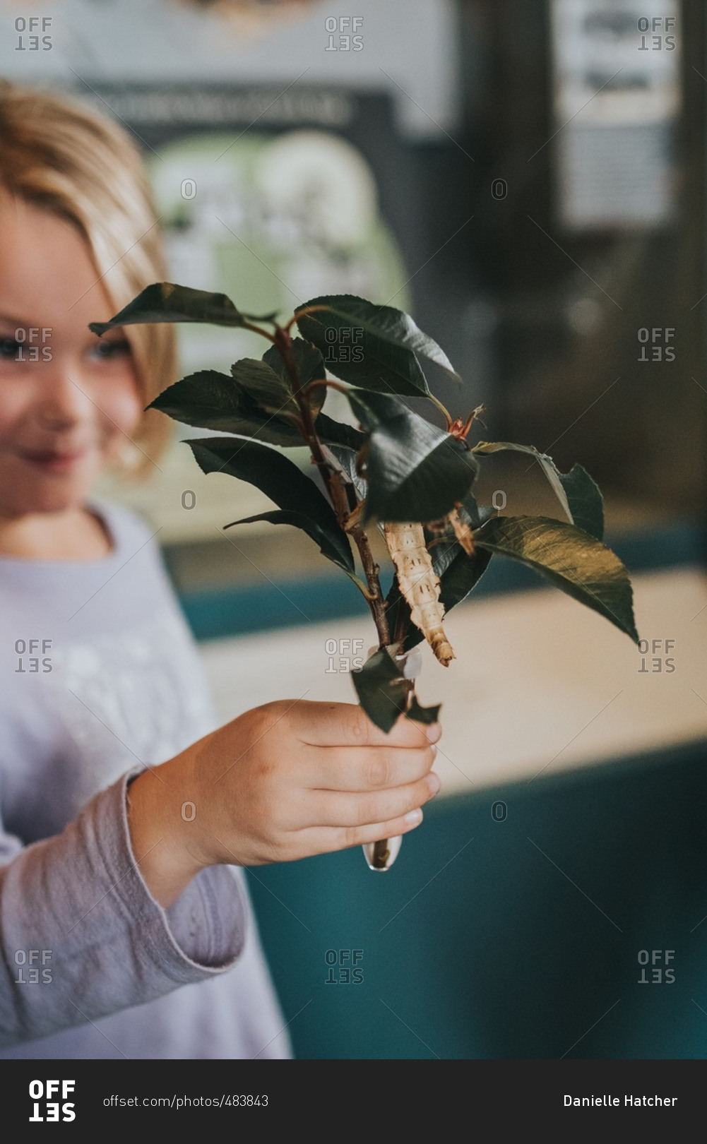 Girl holding a branch with large insect