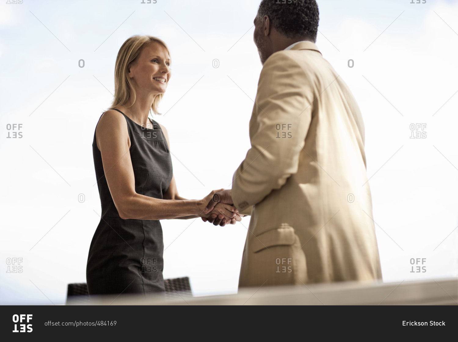 Business colleagues greeting each other with a handshake.