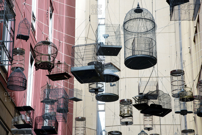 Sydney, Australia's Canopy of Bird Cages