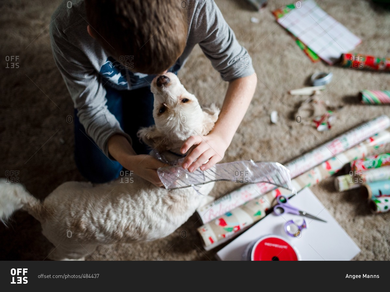 Dog with Christmas ribbon and boy