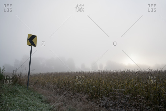Arrow road sign at edge of foggy field