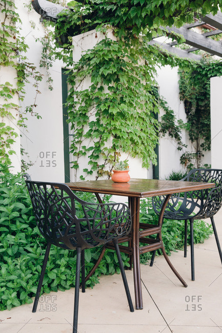 Table and chairs adjacent to ivy covered wall