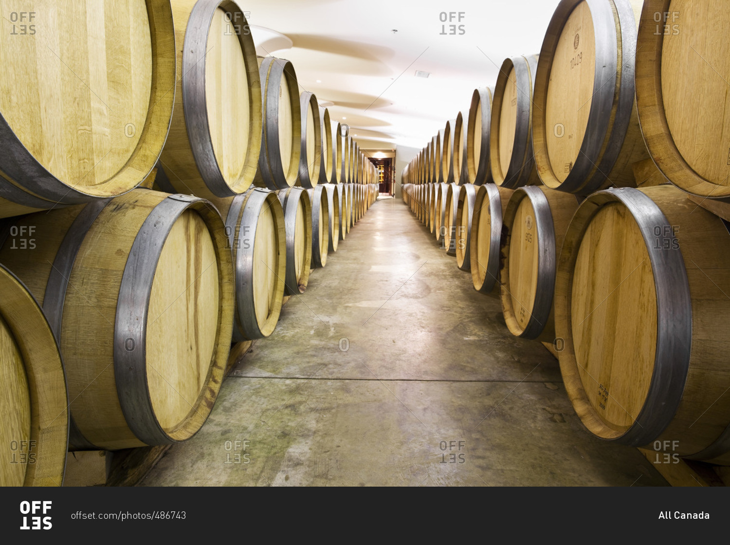 Ontario Canada October 16 2012 Wine Barrels In A Wine Cellar Stock   Offset 486743 