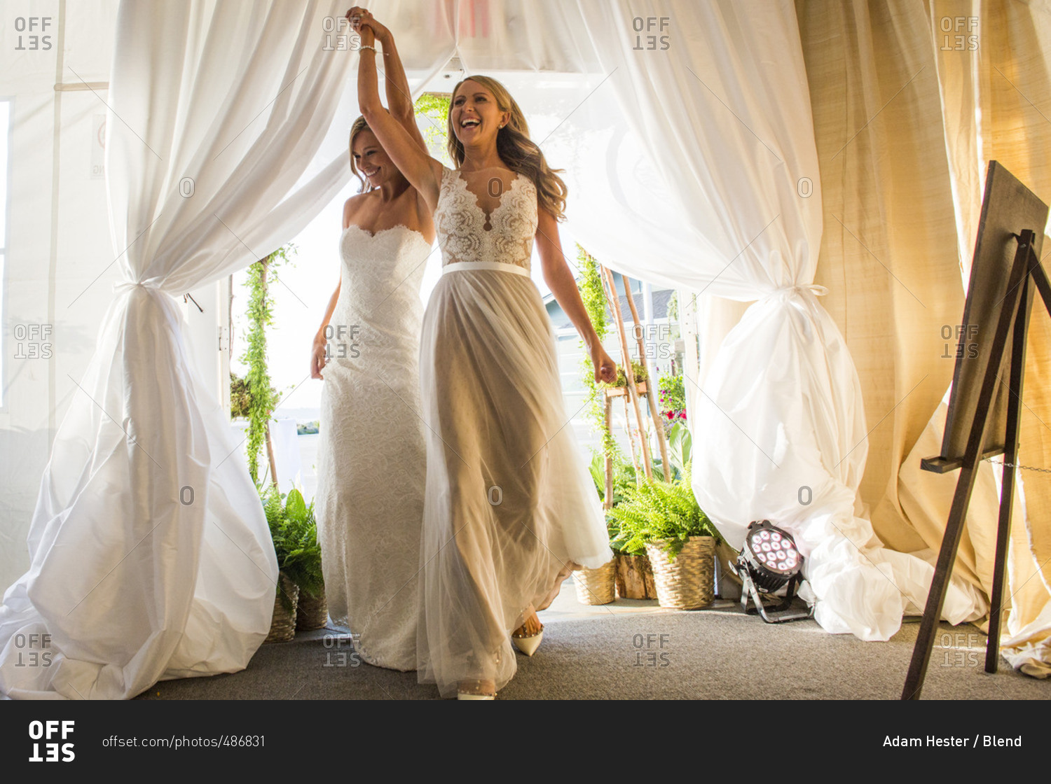 Caucasian brides walking through curtain