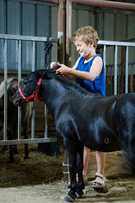 Boy brushing miniature horse's mane