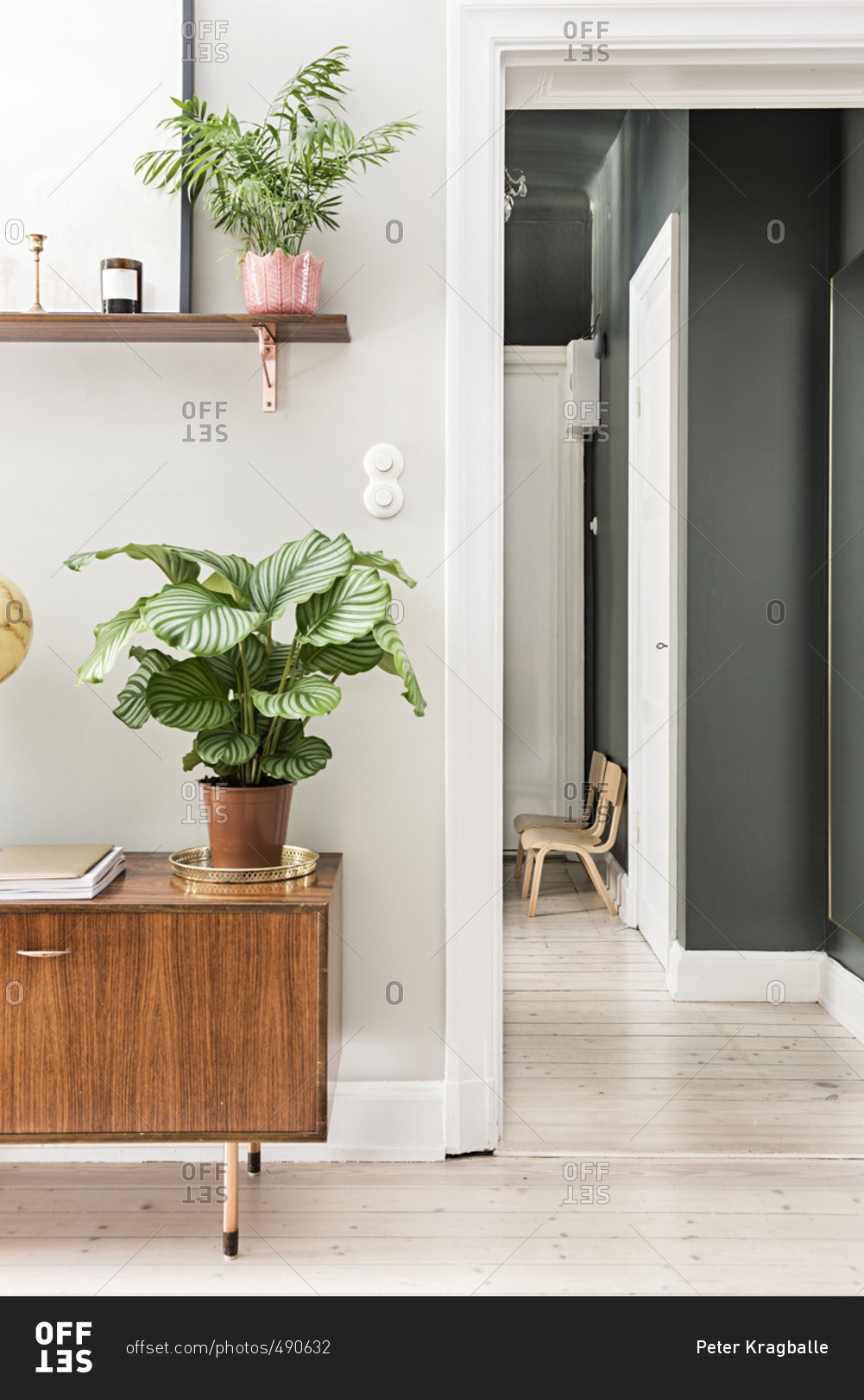 Plants on a shelf and cabinet in an apartment stock photo - OFFSET