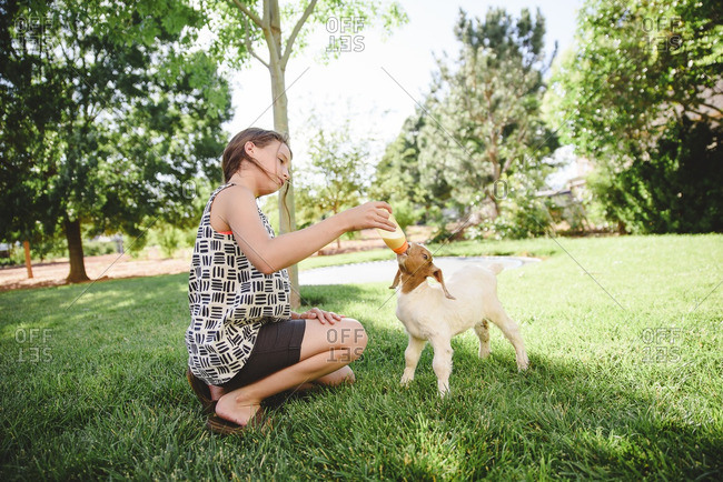 Girl feeding baby goat