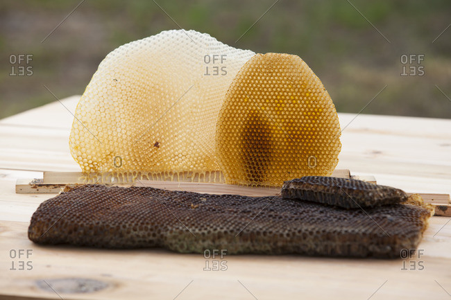 Honeycombs on table outdoors - Offset