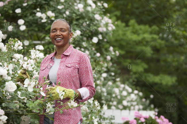 Black woman caring for flowers in garden