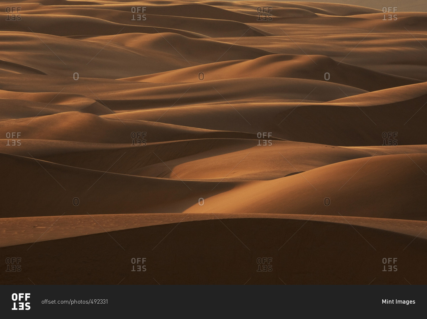 Late afternoon light on the sand dunes stretching the entire length of Namibia\'s coast