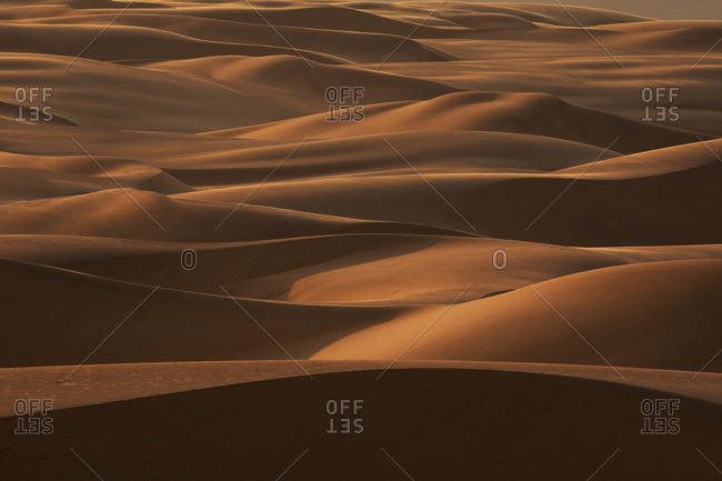 Late afternoon light on the sand dunes stretching the entire length of Namibia's coast