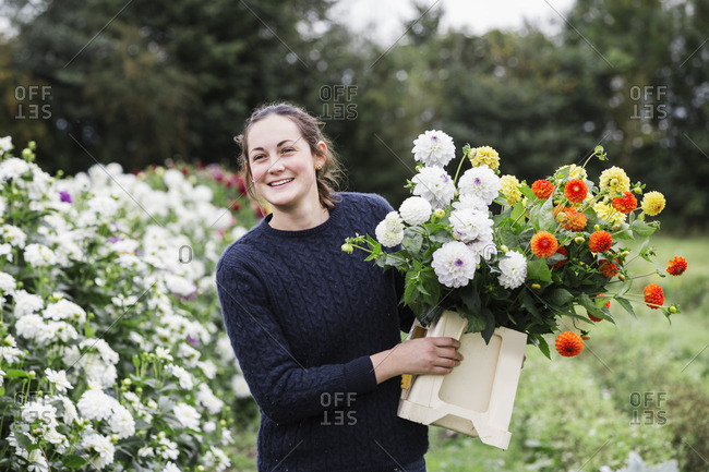 A woman working in an organic flower nursery, cutting flowers for flower arrangements and commercial orders.