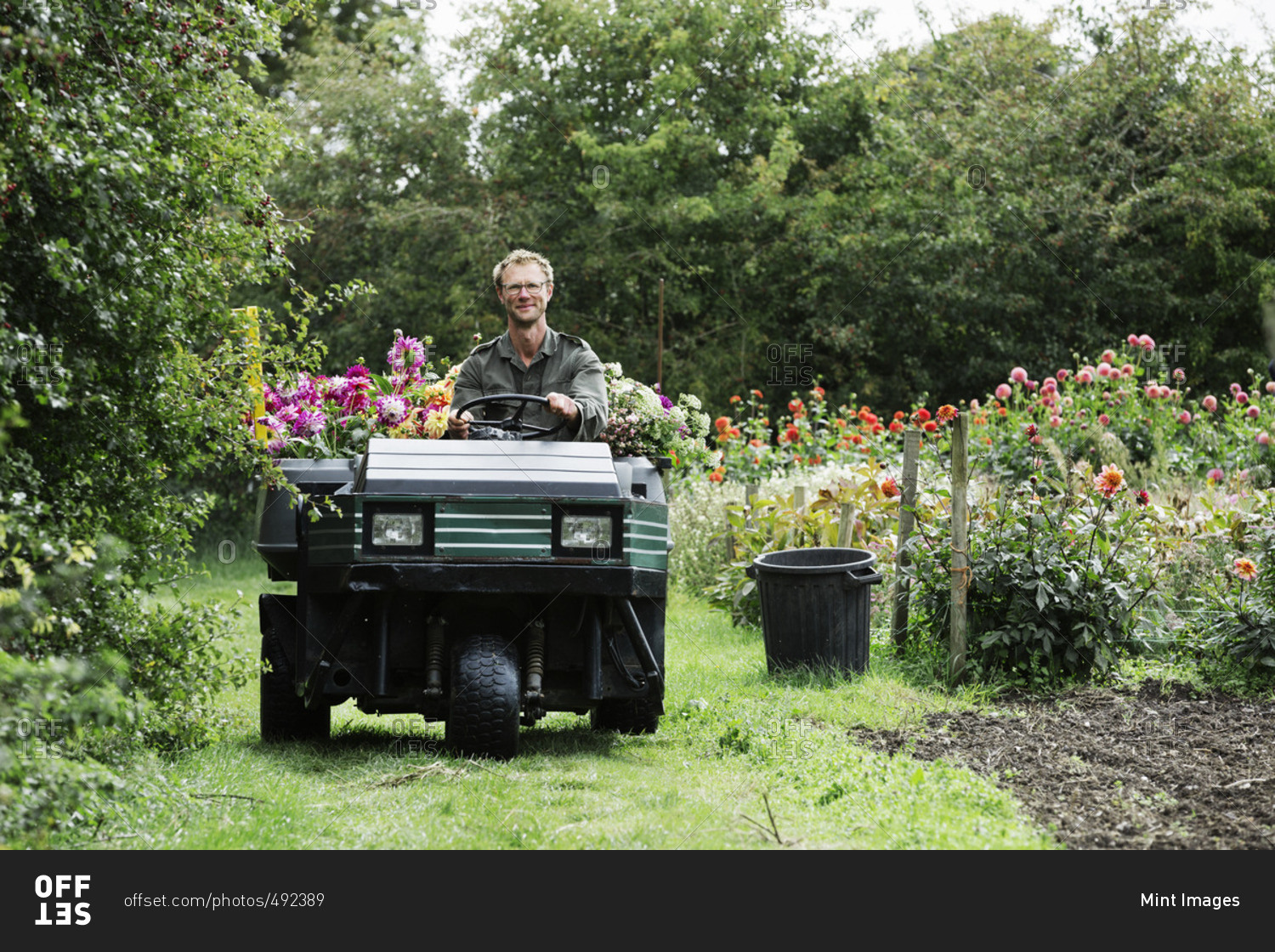 A man driving a small garden vehicle along the path between flowerbeds, loaded with cut flowers