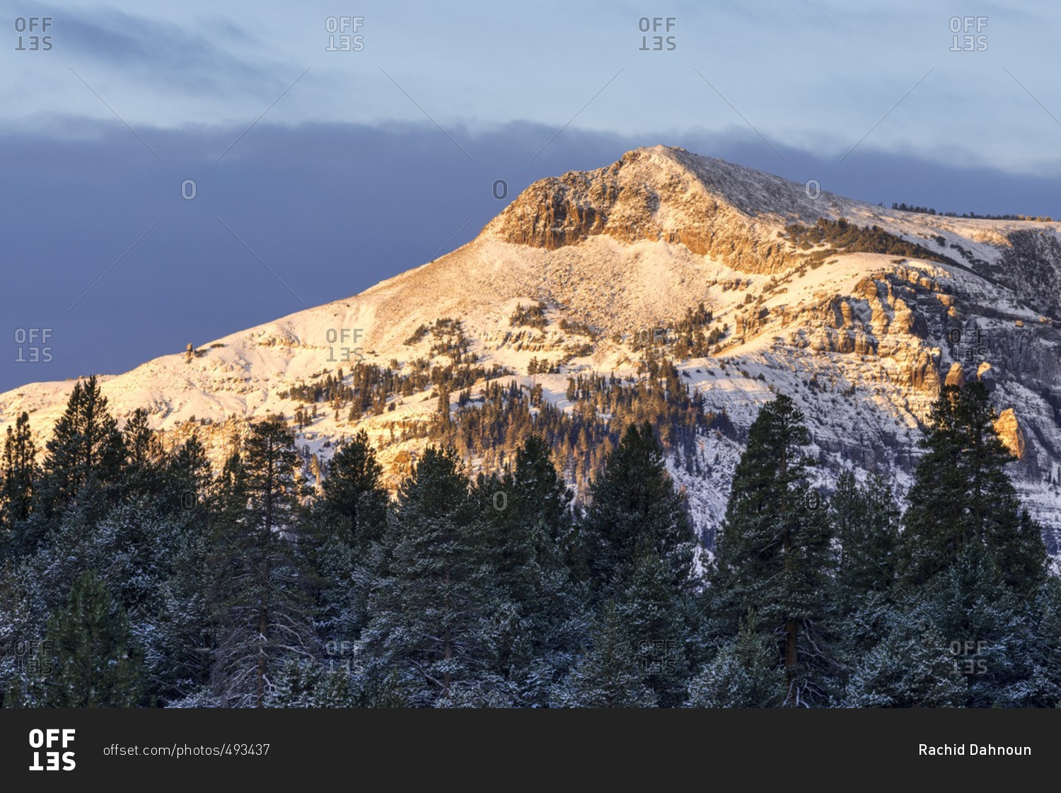 A fresh dusting of snow coats the trees and Stevens Peak at sunrise in Hope Valley, California.