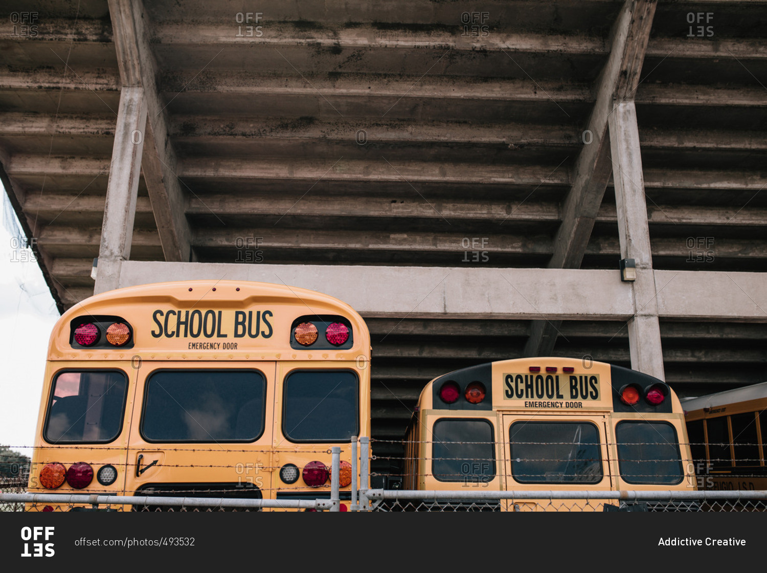 Back view of two parked school buses