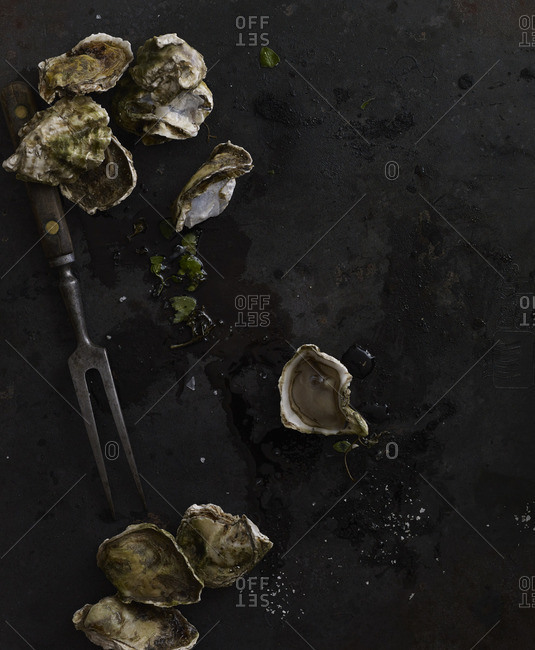 Oysters Arranged On Stone Countertop Stock Photo Offset
