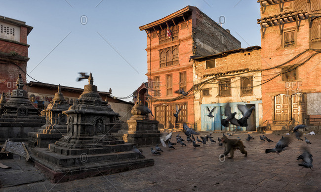 Nepal- Himalaya- Kathmandu- Swayambhunath Stupa with monkeys and birds