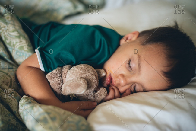 stuffed animals for babies to sleep with