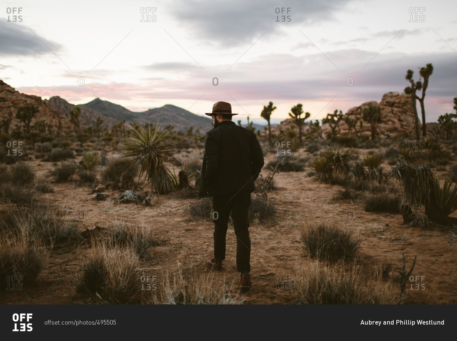 Man walking through vegetation and cacti in a desert