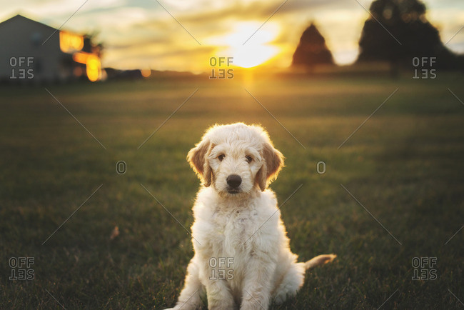 Artist Jeanna Ludwig Stock Photos Offset
