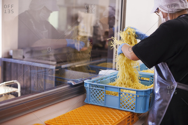 Workers in aprons and gloves weighing and packing freshly made noodles in a soba noodle production unit.