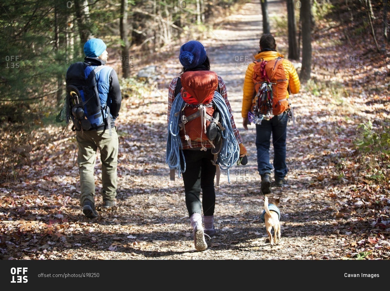 Rear view of friends with backpacks walking on road in forest