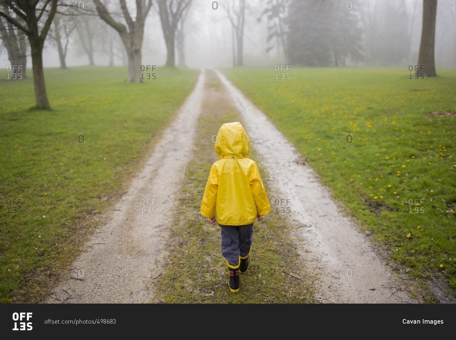 Rear view of boy in raincoat walking on dirt road during foggy weather