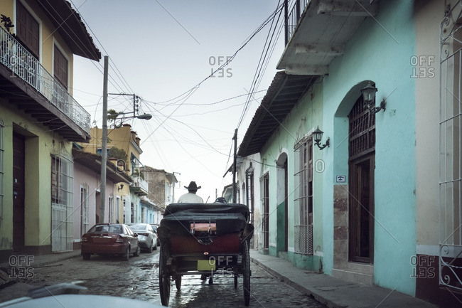 Rear view of man in horse cart